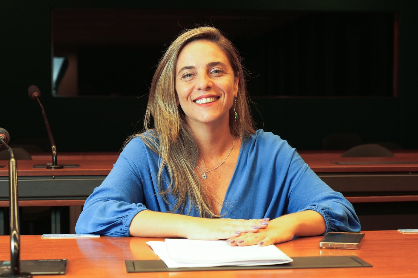 Retrato oficial de Fernanda Melchionna